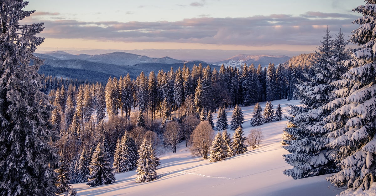 Wintermärchen im Paradies | Badeparadies Schwarzwald